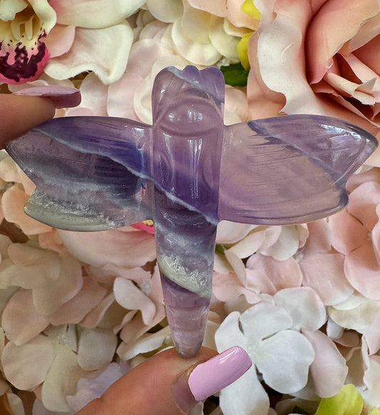 Fluorite Dragonfly Crystal Carving