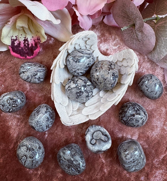 Shell Jasper Crystal Tumble