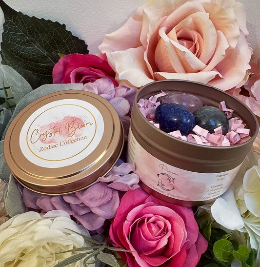 Pisces Zodiac Tumble Tin Set